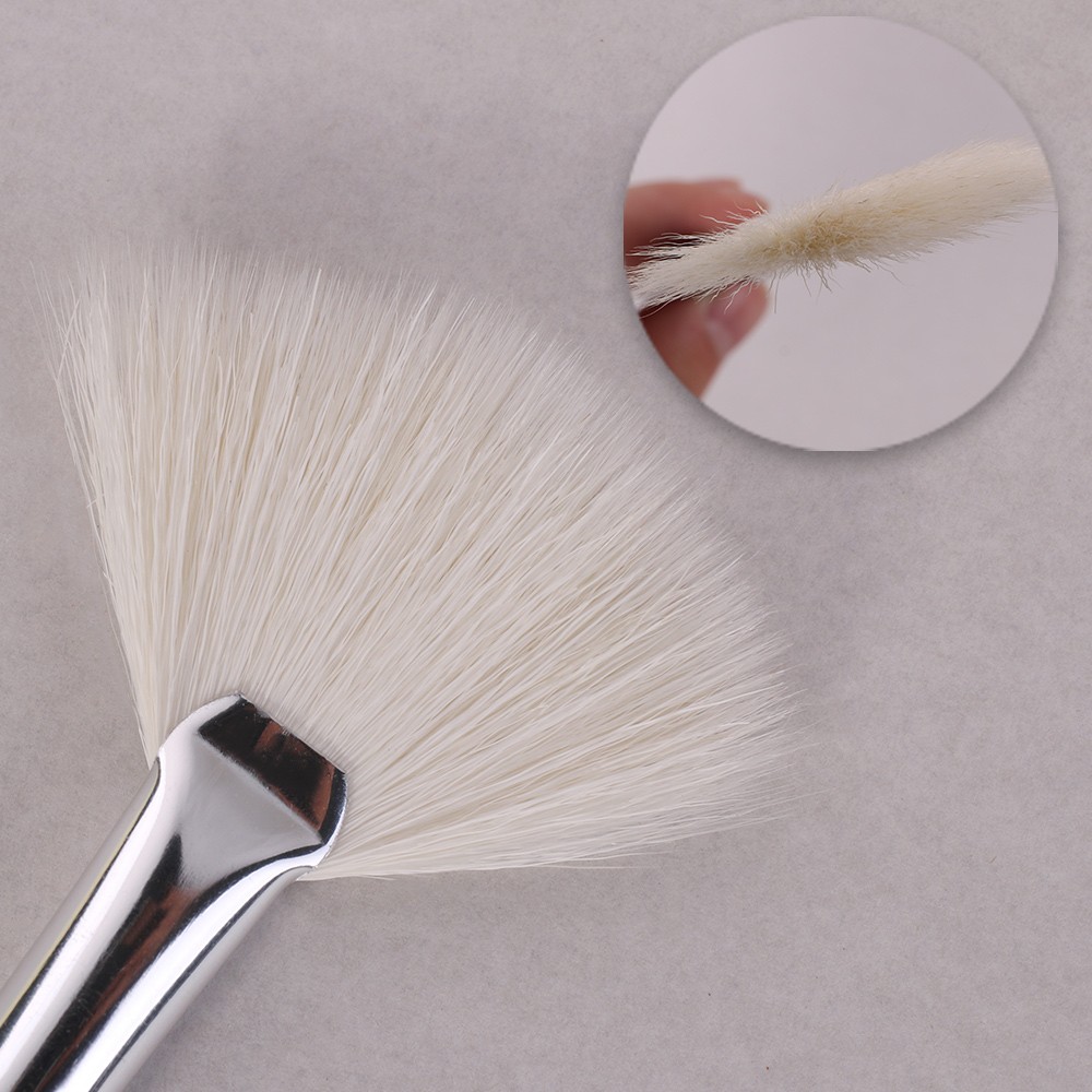 FAN BRUSHES