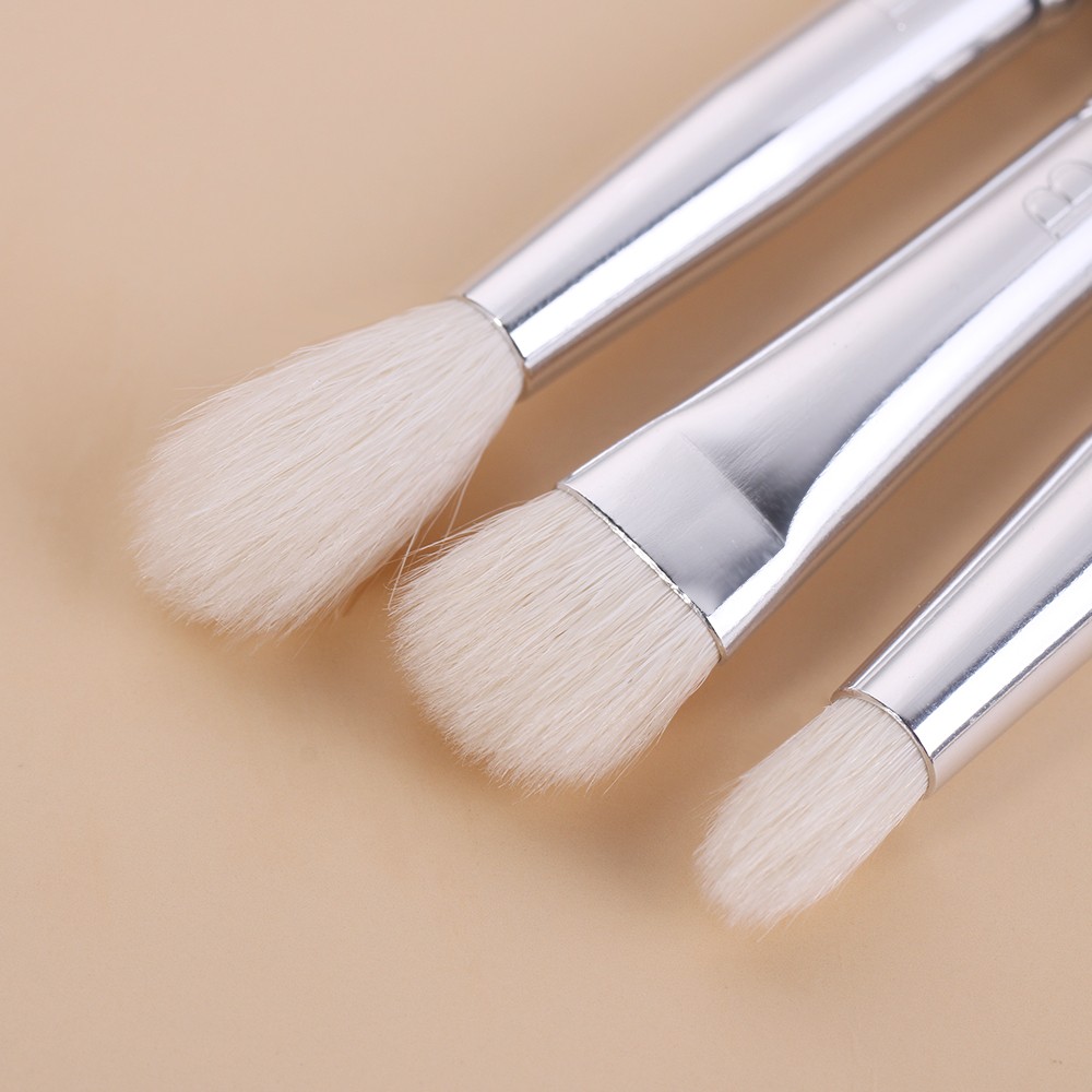 professional makeup brush set