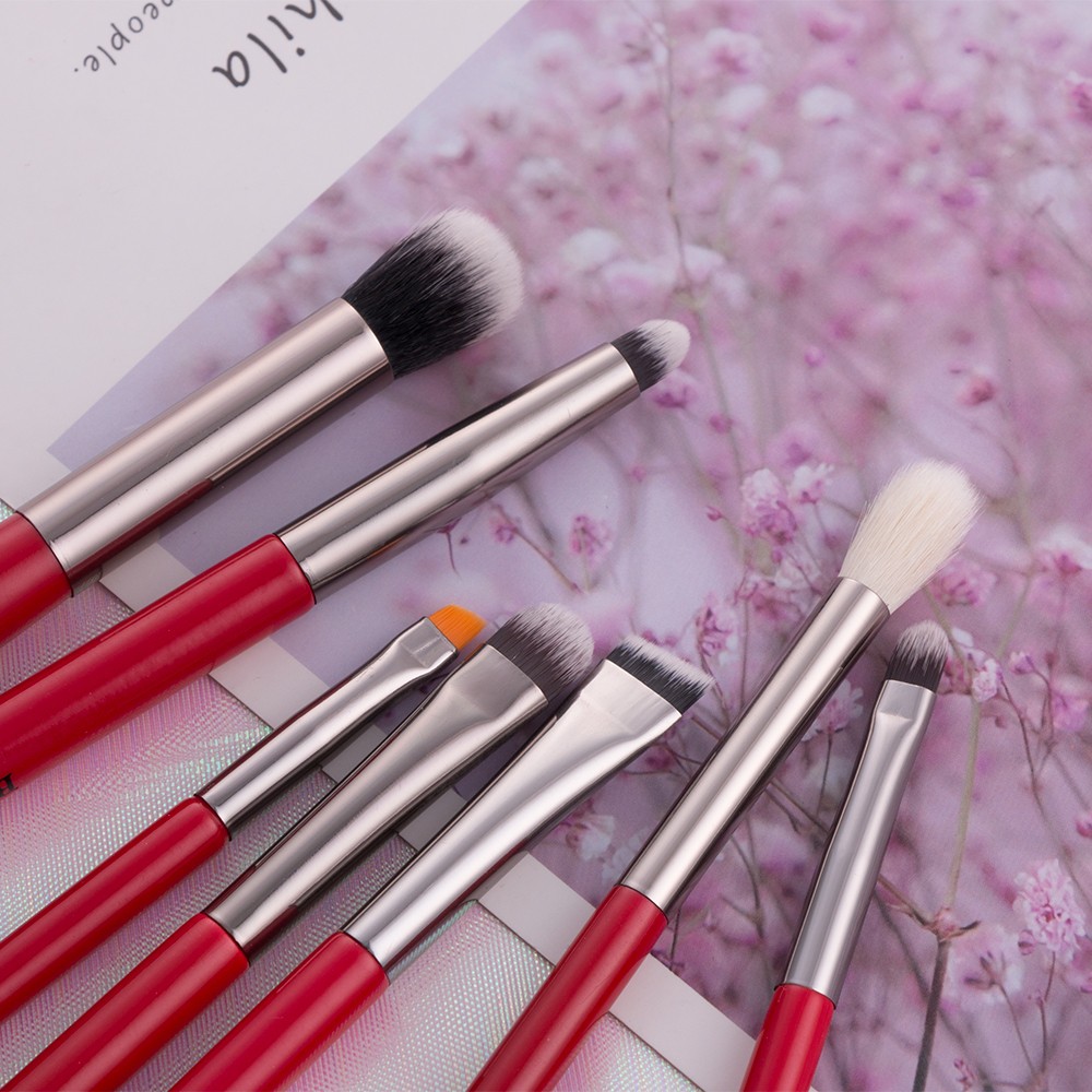 	 brush makeup set